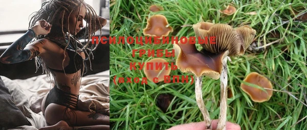 круглые Армянск