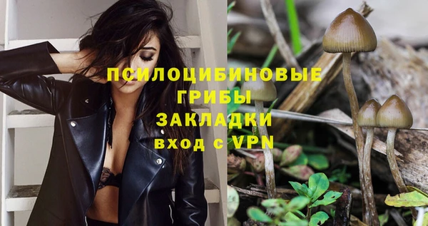 экстази Арсеньев